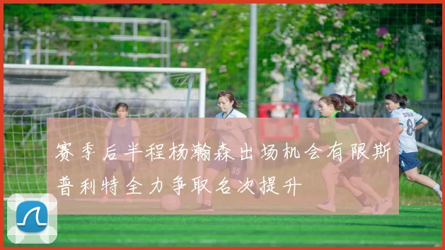 赛季后半程杨瀚森出场机会有限斯普利特全力争取名次提升
