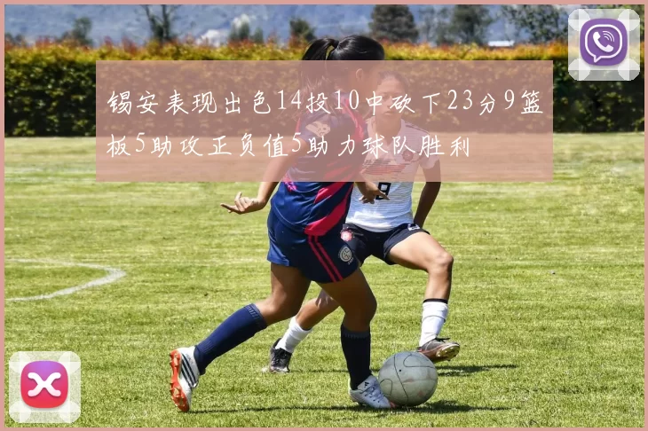 锡安表现出色14投10中砍下23分9篮板5助攻正负值5助力球队胜利